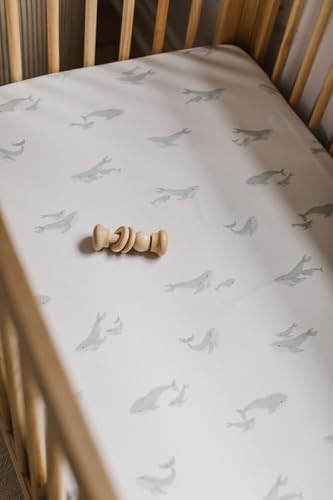 Image of Pehr Crib Sheet, Follow Me Whale | Breathable Brushed Organic Cotton for Soft Sleep | Fits Standard Crib Mattresses up to 52 inch L x 28 inch W x 8 inch H