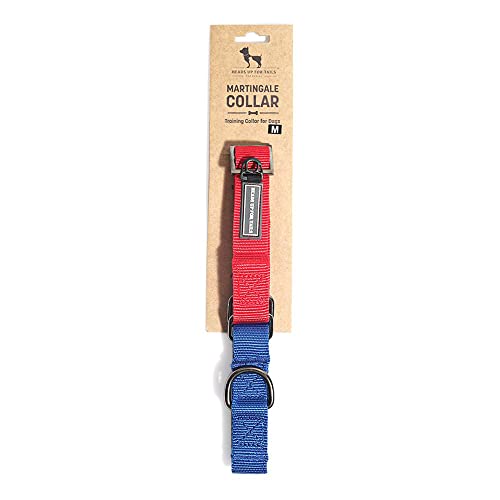 Image of HUFT Martingale Adjustable Dog Collar - Red and Navy (L) | Adjustable Dog Collar for Medium Dogs, Small Dogs & Puppies | Durable Dog Belt with Leash-Compatible Design for All Breeds