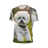 Zoom IMG-1 ayyqwe bichon frise dog on
