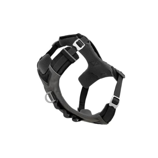 Kurgo Journey Air Hundegeschirr, Mit gepolstertem Brustteil und Rückgriff, Für Hunde von 5-11 kg, Größe S, Schwarz/Grau