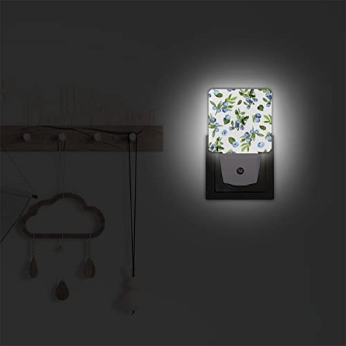 Qsirbc Night Light Blueberry Painting Motion Sensor Dusk To Dawn Led Lamp Set Of 2 Plug-In Energy Efficient Nightlights For Room Hallway Stairs Decor Aesthetic And Bedroom Essentials #TOP3