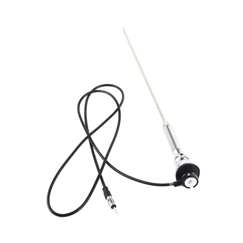 Antenne voiture universelle AM/FM pivotante 180° avec tige souple à ressort