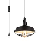 Pendant Light with Plug in 15Ft Braided Cord and Switch Rustic Hanging Lamp with Metal Cage Shade...