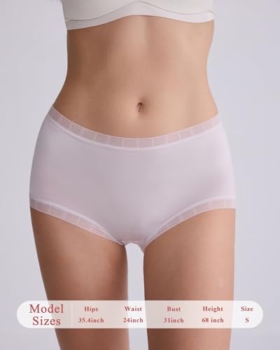 Mcool Mary Women's Underwear,Sheer Panties,Mid-High Waisted Briefs,Full Coverage,Thin Silky Cool Nylon Briefs Lace 6 Pack2