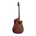 Ibanez ALT20 Altstar Acoustic-Electric Guitar (Open Pore Natural)