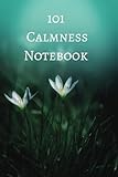  101 calmness notebook