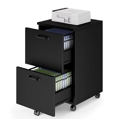 DUMOS 2 Drawer Filing Cabinet, Rolling Wood File Cabinet for Home Office, Under Desk Storage with Lockable Wheels, Printer Stand, Office Organizer, Black