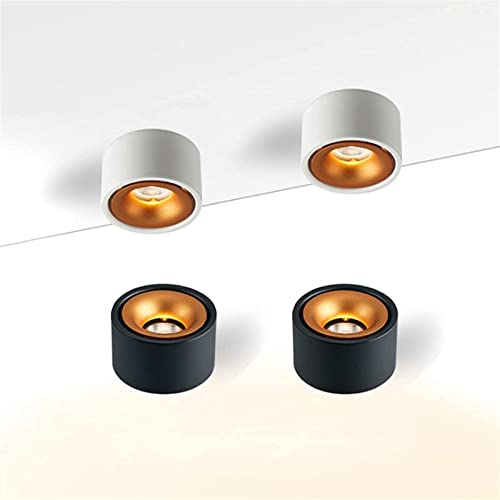 Plafonnage de plafond directionnel blanc spot moderne 10W - 7