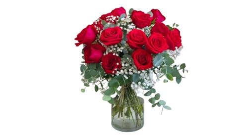 FLORES SOLIDARIAS   Ramos de Flores Naturales Rosas Rojas Paniculata   Ramo Fresco de Calidad para Regalo, San Valentín, Día de la Madre, Bodas, Aniversarios, Cumpleaños y Decoración del Hogar