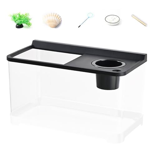 Aquarium Betta hydroponique LED compact pour décoration de table