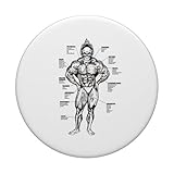 Zoom IMG-2 tabella muscolare e guida agli Zoom IMG-2 tabella muscolare e guida agli