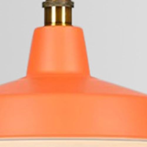 Lumière décorative d'installation câblée pour loft et ferme - 6