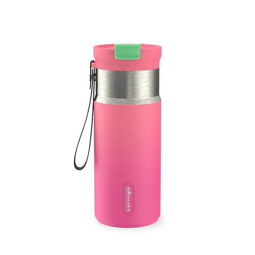 Image of Contigo DualSip 16 oz Compact Stainless Steel Vacuum-Insulated Water Bottle with 2-in-1 Leakproof Lid (Straw or Spout), BPA-Free & Lead-Free, Dishwasher Safe