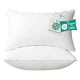 Throw Pillow Inserts (Pack of 2, 12 x 20 Inches, White) - Hypoallergenic 100% Virgin Fiber Lumbar Pillow Form Microfiber Throw Pillows for Bed and Couch Pillows | Indoor Decorative Pillow