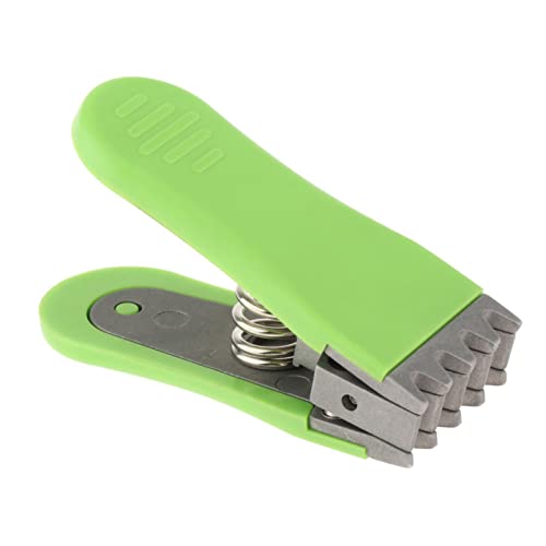 STARTIST RpNg oh~g ejX Pbg tCO Nv Nbv Nv c[ C