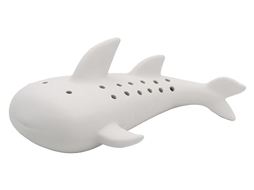 OXXNGA fĂ̊Gtf(̌)WxCU