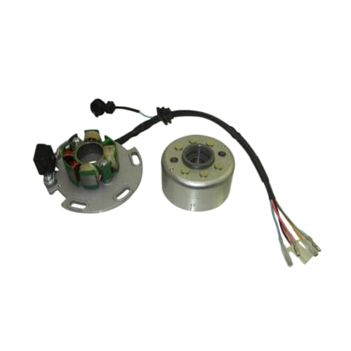 Volant d'inertie de rotor de stator magnéto pour réparation allumage moteur 150 190 cc
