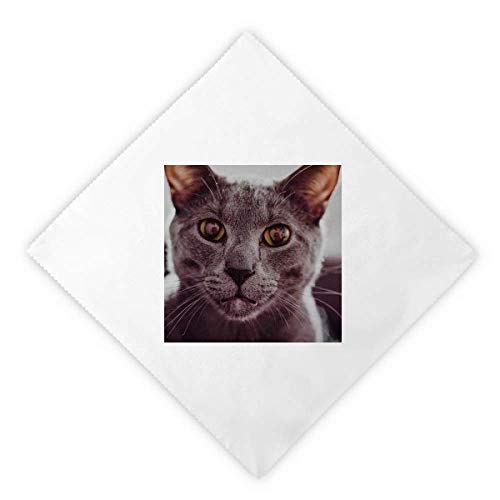 Serviettes de table chat gris antitache lot réutilisable pour repas sans taches - 2