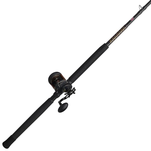 PENN Fishing Penn Squall II Star Drag Conventional Reel and Fishing Rod Combo, Black/Gold, 30 Reel Size - 7' - Medium - 1pc (SQLII30SD2040C70)
