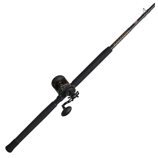 PENN Fishing Penn Squall II Star Drag Conventional Reel and Fishing Rod Combo, Black/Gold, 30 Reel Size - 7' - Medium - 1pc (SQLII30SD2040C70)