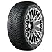 Produktbild GITI Winterreifen 205/55 R 16 TL 91T GITIWINTER W2 BSW M+S 3PMSF