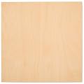 6 mm 1/4 x 12 x 12 Inch Premium Baltic Birch Plywood, Box of 25 B/BB Birch Veneer Sheets, Perfect for Laser CNC Cutting and Wood Burning Projects. by Woodpeckers