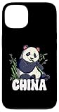 China Case for iPhone 13