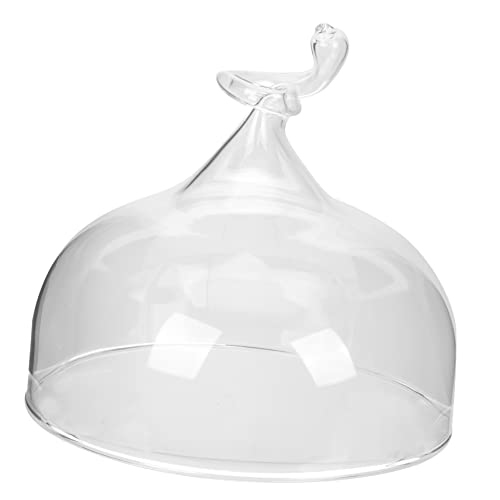 Cabilock Clear Glass Cake Dome High Elegant Dessert Display Cover for Home Use Easy to Clean Store Stylish Kitchen for Friends