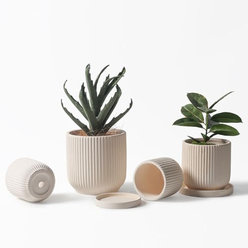Fausses fleurs d'intérieur et cactus sublimés dans ce pot tendance M
