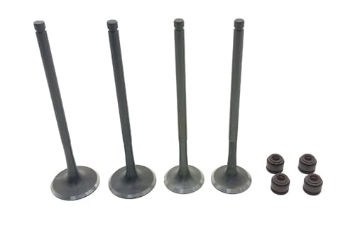 Valve Intake Stem Valve Oil Seal For ZS NC250 NC 250cc ZS177MM T6 BSE J5 RX3 ZS250GY-3(Valve 2 Pair)