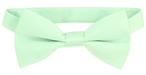 Vesuvio Napoli BOY'S BOWTIE Solid LAUREL GREEN Color Youth Bow Tie