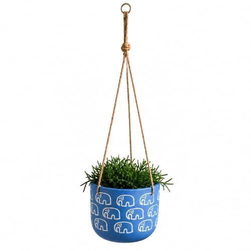 Image of Urban Upvan Elephant Printed Blue Hangingpot with Rope - Premium Decorative Planter for Indoor & Outdoor Plants, Modern Elegant Flower Pot for Home, Garden & Office