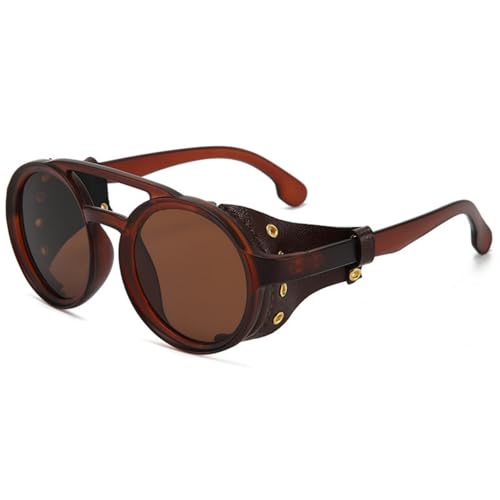 ECMQS Retro Windproof Cycling Glasses Anti Sand Design for Hiking Trekking Cycling Lens Windproof Retro Sunglasses