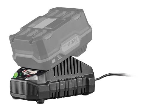 Parkside Ladegerät der X20V Serie für Akku Pap 20 A1