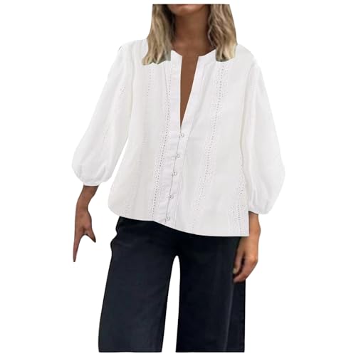 Womens French Fashion Versatile Hollow Embroidered Long Sleeved Top T Shirt Plus Button Down Shirt Women (White, L) Womans Clothing