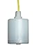Madison MS9000 Liquid Level Sensor, Miniature Float Switch with Slosh Shield, Kynar, 1/8