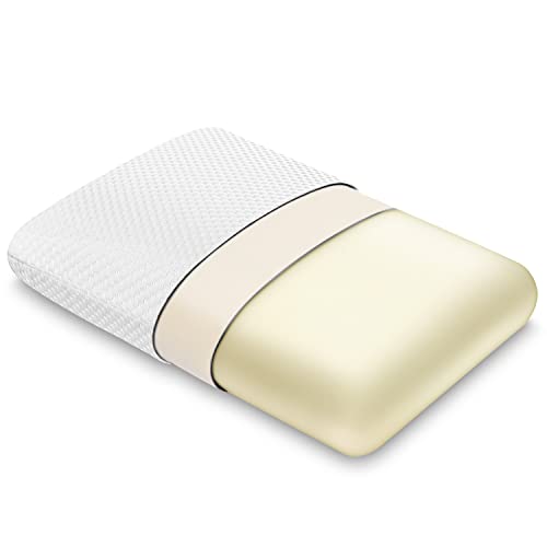 Findigit Oreiller en mousse à mémoire de forme pour dormir, oreiller double face en mousse à mémoire de forme, oreiller orthopédique, taie d'oreiller amovible et lavable (70 x 40 cm) Cover