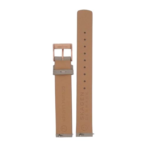 Correa Skagen de acero inoxidable gris con malla de 14 mm premium 2