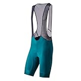 PEARL IZUMI(パールイズミ) サイクルウエア T210-3DR アクセル ビブ パンツ カラー: 7 リザード サイズ:XL