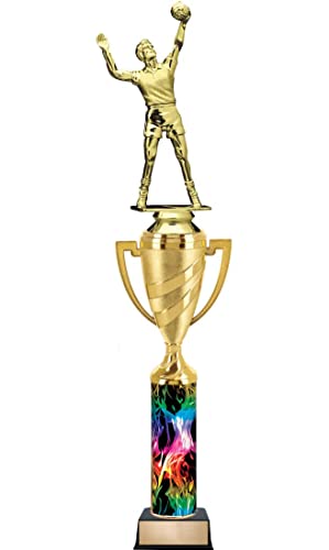 Crown Awards Personalized Rainbow Inferno Volleyball Trophy, 14" Male Server Trophy Prize, Personalize with Free Engraving Prime