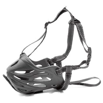 Leerburg's Lightweight Conditioning Dog Training Muzzle with Forehead Strap, 3-Strap Design, Safety Loop, Treat Reward Flap, Black (6-2.75