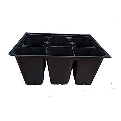 AAAmercantile Seed Starter Trays 300 DEEP Extra Large Cells Total (50 Trays of 6 Cells Each) Cover