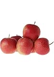 Honeycrisp Apple 5 count