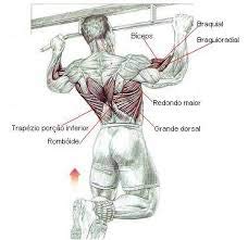 Barra Fixa Mista Paralela Parede Costas Crossfit Musculação GT672 - Lorben