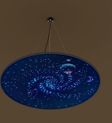 Galaxy Fiber Optic Lamp Panel, 8 Colors Sensory Starry Sky Ceiling Light with Remote & App Control,Mood Light for Kids Room, Sensory Room, Home Theater, Meditation Space