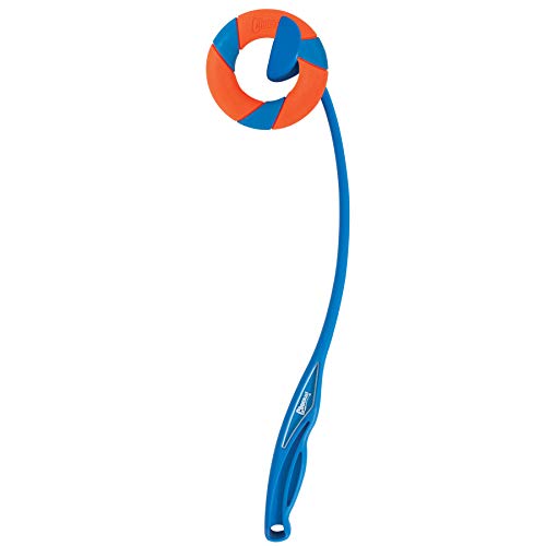 Annel de poursuite et lanceur Chuckit Ring Chaser fini la bave de chien