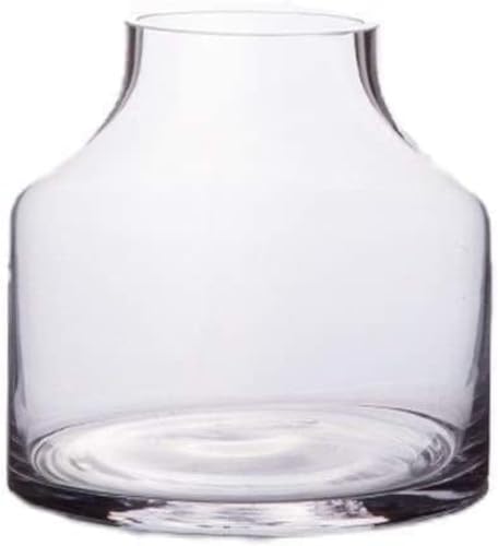 Home Simplicity - Jarrones modernos minimalistas de vidrio transparente creativo para la entrada de la sala de estar, hidropónicos, enchufe de gran diámetro, accesorios para el hogar, -A