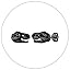 04.Dinosaur-Black