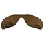 Antique Bronze Mirror Polarized