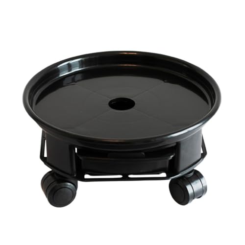 SIzlaho AؔCCt[X^hCC󂯎MC LX^[tCbNtCϗtAC @\CňړN` (39cma,F) [sAi]